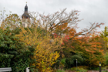 Beautiful autumn scenery in a botanical park in Saint Gallen in Switzerland