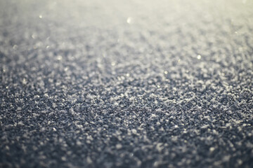 Winter Frost Sparkling on Snowy Surface in Early Morning Light