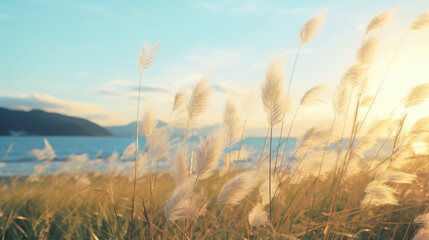 Obraz premium Golden Hour Tranquility by the Coastal Grassland