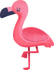 Hand-painted digital illustration  of a flamingo.