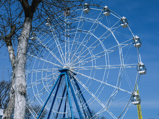 Fototapeta premium Ferris wheel in the park on the background of a tree without leaves. A mechanical attraction in the form of a large vertically mounted wheel with a passenger cabin attached to the rim.