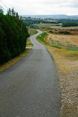 Chemins de Forcalquier