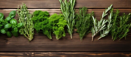 Variety of Fresh Culinary Herbs on Wooden Surface