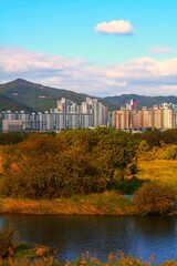 Obraz premium 대구광역시 안심동 금호강