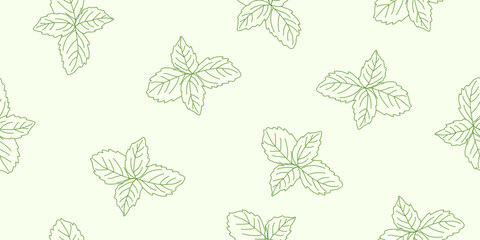 Fresh basil leaves outline on light green background, seamless pattern vector