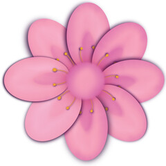 pink flower isolated
