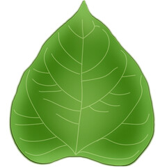 Green leaf