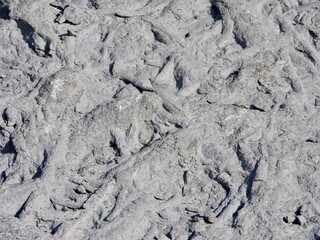 texture concrete stone gray background