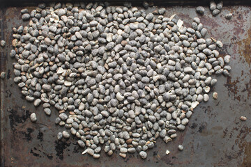 overhead view of blue speckled beans on a metal tray, top view of nigerian army beans, black speckled heirloom beans