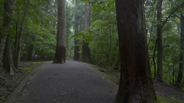伊勢神宮 内宮別宮 瀧原宮 雨の参道風景