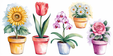 Obraz premium Watercolor Illustration with Five Pots of Flowers