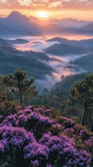 Sunrise Over Serene Mountain Valley with Flowers