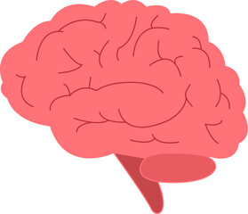 Vector Illustration of a Human Brain