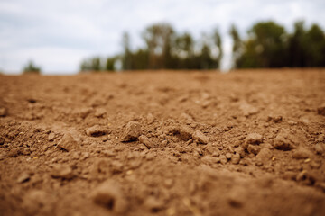 Rural landscape. Close-up of black soil prepared before sowing plants, vegetables, seed in sunset light. Fertile land texture.