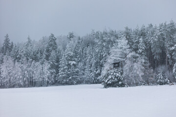 winter forest landscape after heavy snowfall