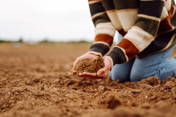 Women's hands sort through black soil in the field. Expert farmer checking soil health before growth a seed or plant seedling. Nature healthy food.