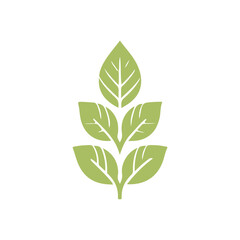 Simple and elegant leaf icon for nature designs