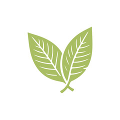 Simple and elegant leaf icon for nature designs