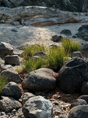 Beach at Tetons 