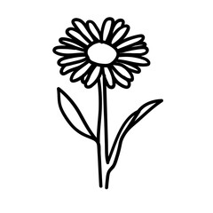 illustration of a flower