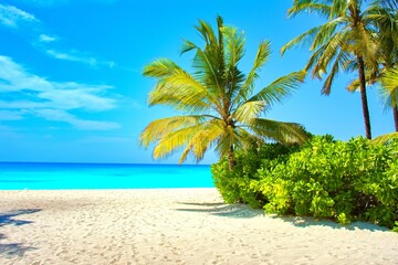 On the amazing beach,