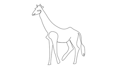 Vector one continuous outline Giraffe drawing and simple minimalist design vector and minimalist