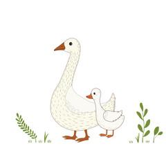 Card with cartoon gooses and field grass on white background