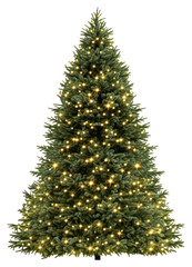 Fototapeta premium PNG Christmas tree decoration