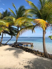 Dock in Belize
