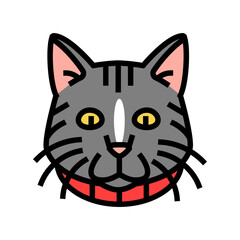 collar cat breeding color icon vector. collar cat breeding sign. isolated symbol illustration