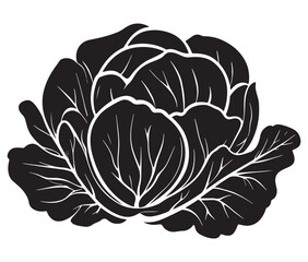 Obraz premium Illustration of a cabbage with a leaf, Cabbage silhouette icon, Illustration of a cabbage