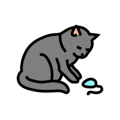 toy mouse cat breeding color icon vector. toy mouse cat breeding sign. isolated symbol illustration