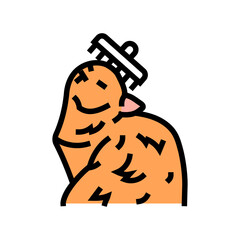 grooming cat breeding color icon vector. grooming cat breeding sign. isolated symbol illustration