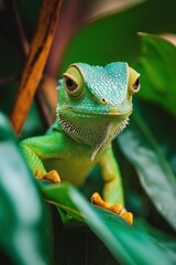 Fototapeta premium Colorful chameleon blends into lush green leaves in a vivid display of camouflage and adaptability in nature.