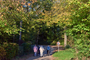 Elderly Women Walking with Rollators in Autumn Park, Peaceful Forest Pathway for Seniors. Elderly Women Walking with Rollators in Autumn Park, Peaceful Forest Pathway for Seniors