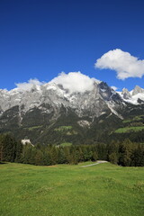 alpine meadow in the mountains