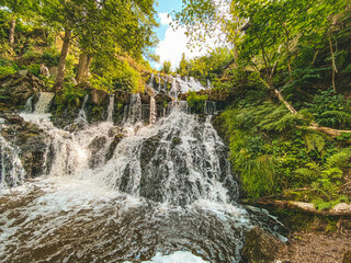 waterfall in the forest