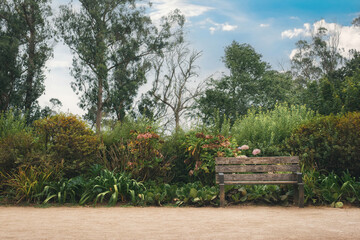 Lonely bench amidst beautiful plants at trees in background, amazing lokation for wedding shooting. Wonderful natural park in Portugal - Sintra. Perfectly place for relaxing