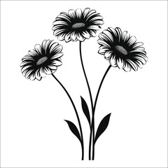 Gerbera Daisies Flower Silhouette Bundle Set on a White Background