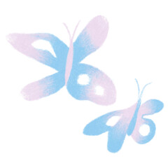 butterfly on a white background