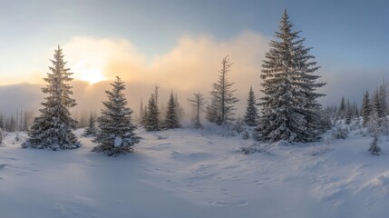 A serene winter landscape with snow-covered tree and a soft sunrise in the background.