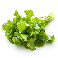 Fototapeta premium Korean green mustard isolated Chinese mustard Clipart Fresh mustard Greens bundle illustration 