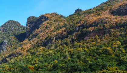 mountains trees and blue sky