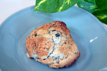 Blueberry scone
