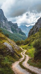 Fototapeta premium Winding Trail Through Lush Green Forests