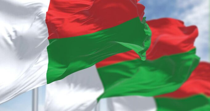 National flag of Madagascar waving in the wind on a clear day