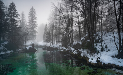 winterliche Stimmung an einem magisch grünen Bach in einem Wald