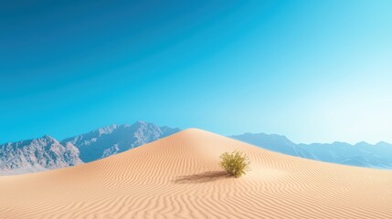 Fototapeta premium A panoramic view of a vast desert landscape with sand dunes, rugged mountains, and a clear blue sky, showcasing the stark beauty and resilience of life in arid environments.