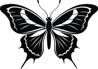 Butterfly silhouette black vector art illustration