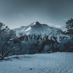 Fototapeta premium Majestic Winter Peak: A Snowy Mountain Landscape, Serene Snowscape: A Tranquil Winter Scene in the Mountains, Enchanting Winter Mountains: A Misty Morning